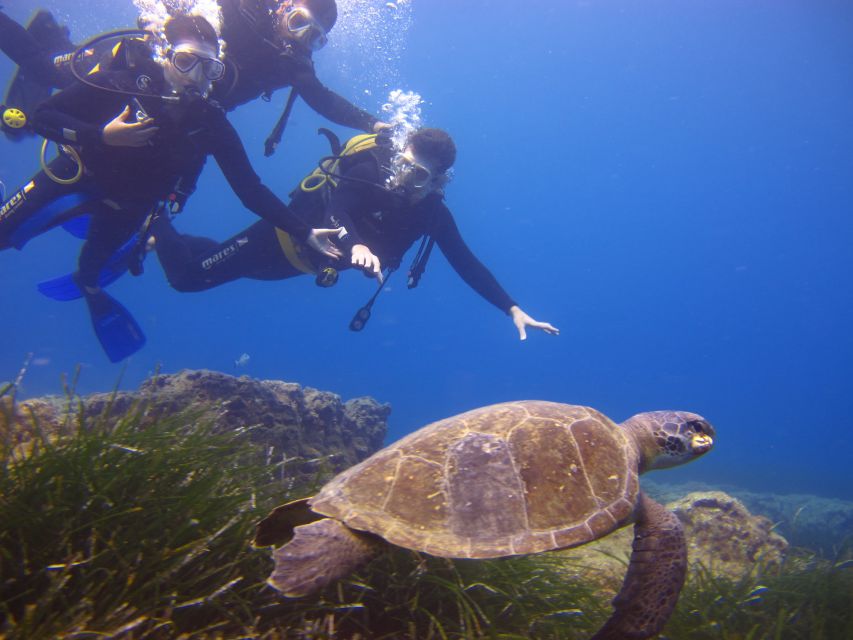 City of Side: Underwater Museum Scuba Diving Visit - Should you book Side’s Underwater Museum scuba experience?