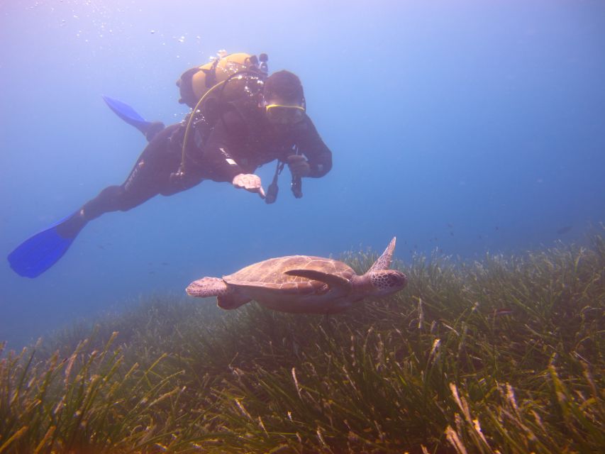 City of Side: Underwater Museum Scuba Diving Visit - Hotel pickup and the journey to the harbor