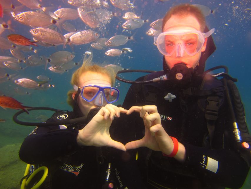 City of Side: Underwater Museum Scuba Diving Visit - Is $50 good value for a 7.5-hour day?