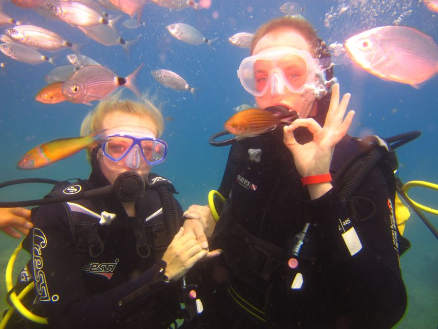 City of Side: Underwater Museum Scuba Diving Visit - Who will enjoy this most