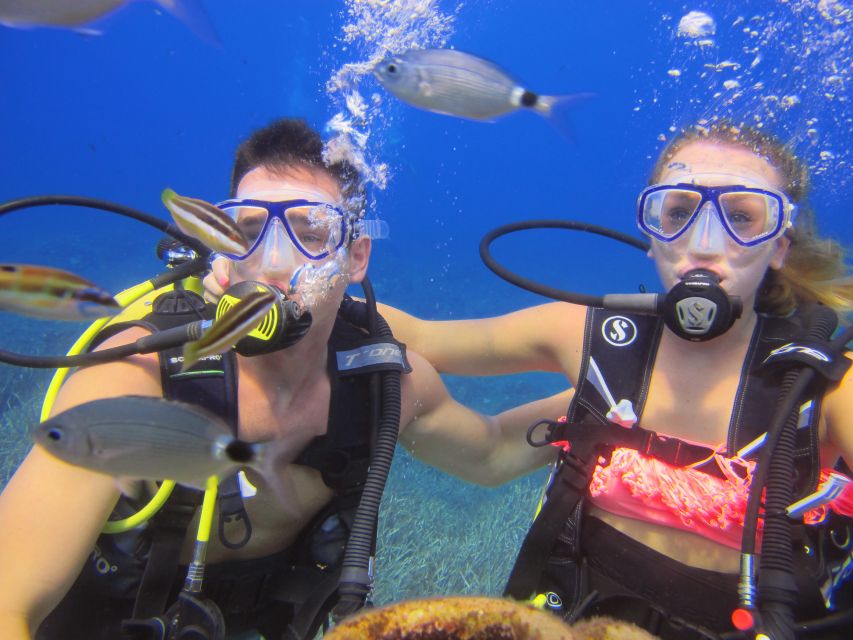 City of Side: Underwater Museum Scuba Diving Visit - Practical advice for a smoother day