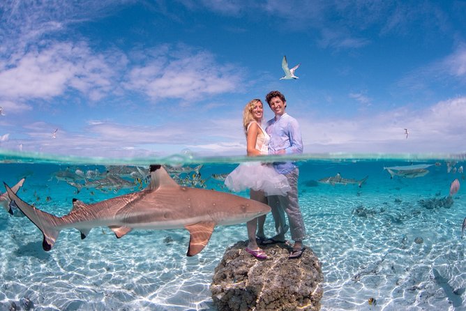Combo Diving and Snorkeling Full Day Tour - Afternoon snorkeling around Bora Bora’s lagoon
