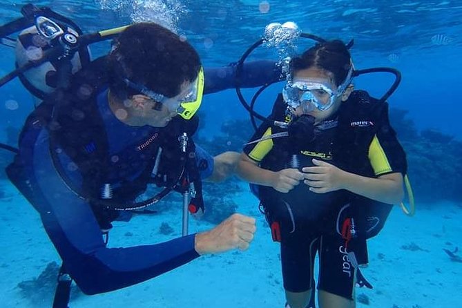 Combo Diving and Snorkeling Half-Day Tour - Key points to know before you book