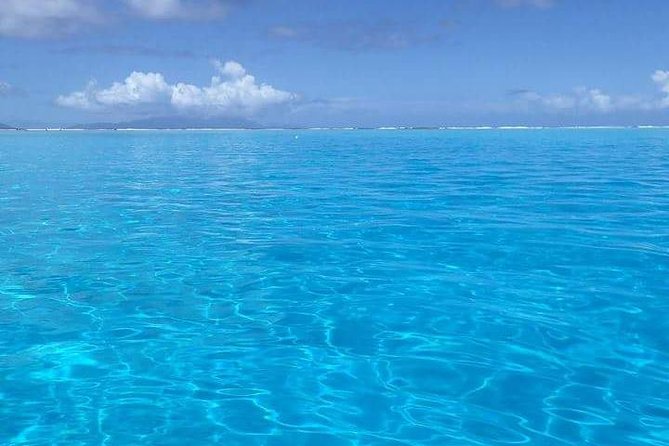 Combo Diving and Snorkeling Half-Day Tour - What the private format changes