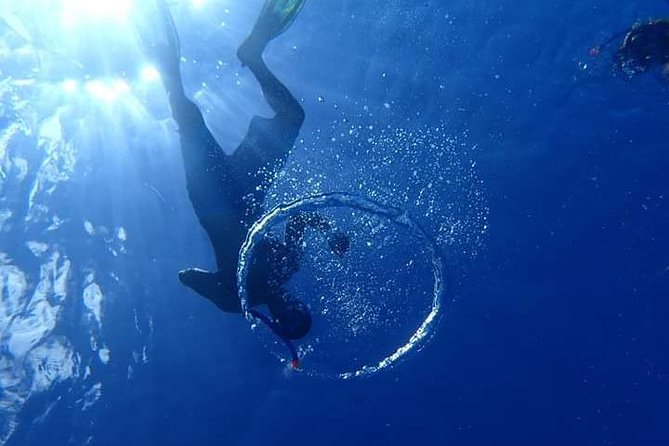 Combo Diving and Snorkeling Half-Day Tour - David, Aimee, and the personal touch