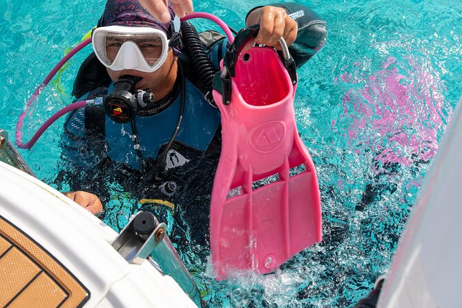 Concierge Two Tank Boat Dive in Bonaire (4 Divers) - Meeting in Kralendijk at 8:30 a.m.