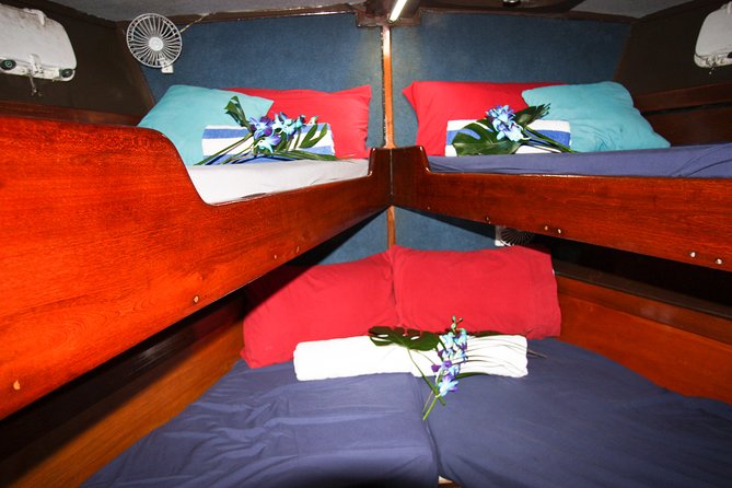 Coral Sea Dreaming Overnight Dive, Snorkel and Sail - Dinner and a night aboard Coral Sea Dreaming