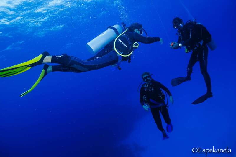 Costa Maya: Discover Scuba Diving Reef Experience - From nervous beginner to reef explorer