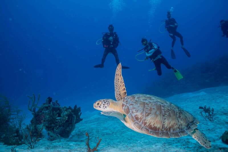 Costa Maya: Discover Scuba Diving Reef Experience - The 105-minute lesson at Mahahual