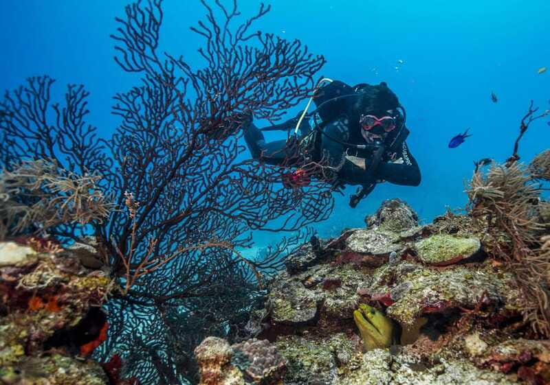 Costa Maya: Two Tank Fun Dive for Certified Divers - A beach break at Blue Kay