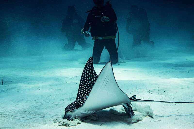 Costa Maya: Two Tank Fun Dive for Certified Divers - Meeting the team at Mar Adentro Diving
