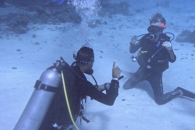 Course for Padi OW in Red Sea and Sinai - What instructors Ashraf and Mohamed bring to the course