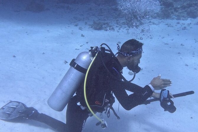 Course for Padi OW in Red Sea and Sinai - Is $450 a fair price?