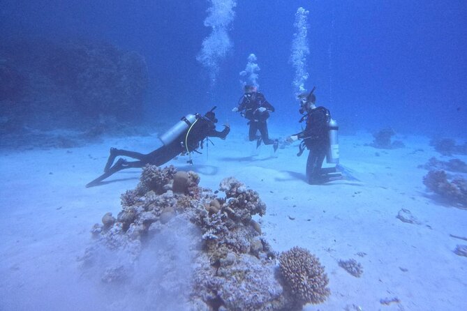 Course for Padi OW in Red Sea and Sinai - Group size, pace, and personal attention