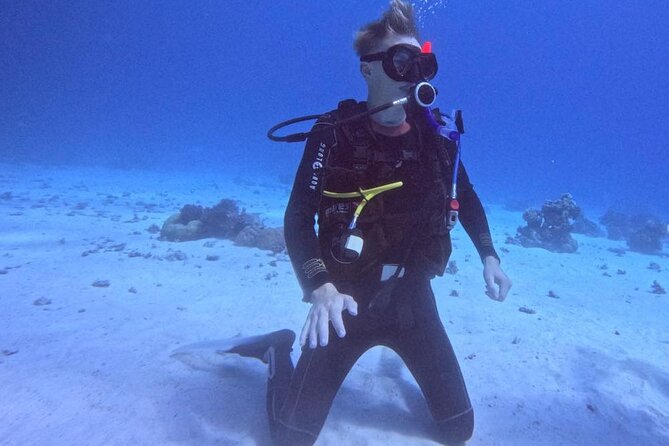 Course for Padi OW in Red Sea and Sinai - Who should book this Red Sea certification course?