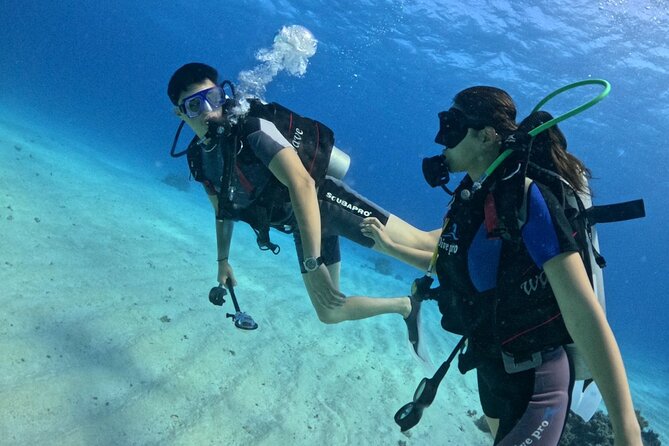 Course for Padi OW in Red Sea and Sinai - From equipment practice to Red Sea conditions