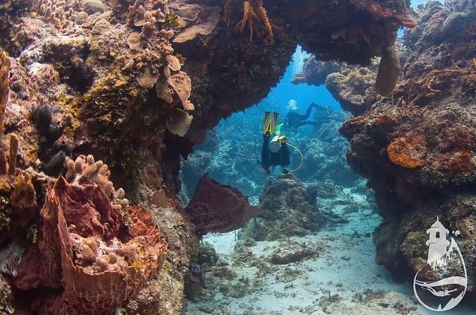 Cozumel: Discover Scuba Diving - Why the Two-Tank Option Is Worth Considering