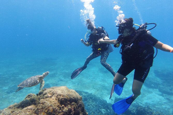 Cozumel: Discover Scuba Diving - Two reef visits inside Cozumel’s national park