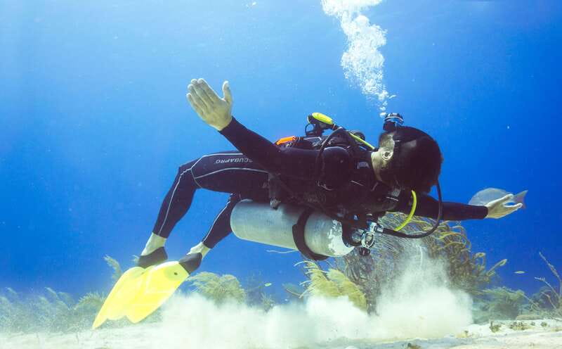 Cozumel: One Tank Scuba Dive and Full Chankanaab Park Access - Quick takeaways for your Cozumel day