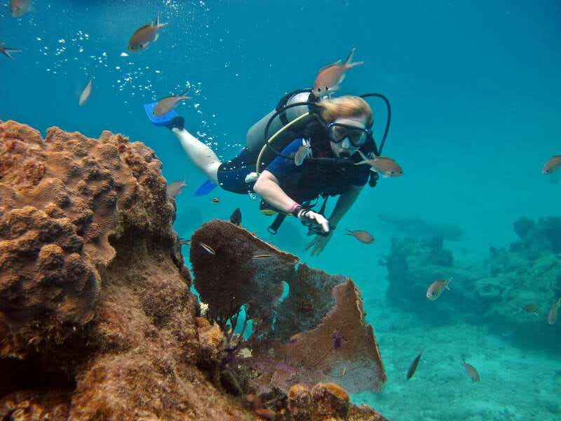 Cozumel: One Tank Scuba Dive and Full Chankanaab Park Access - What the Chankanaab underwater route is really like