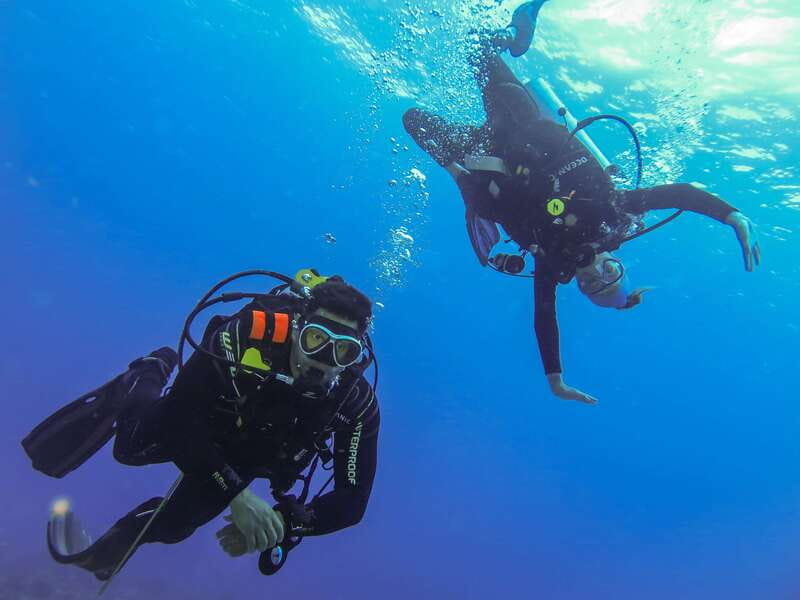 Cozumel: One Tank Scuba Dive and Full Chankanaab Park Access - Is $63 a good value?