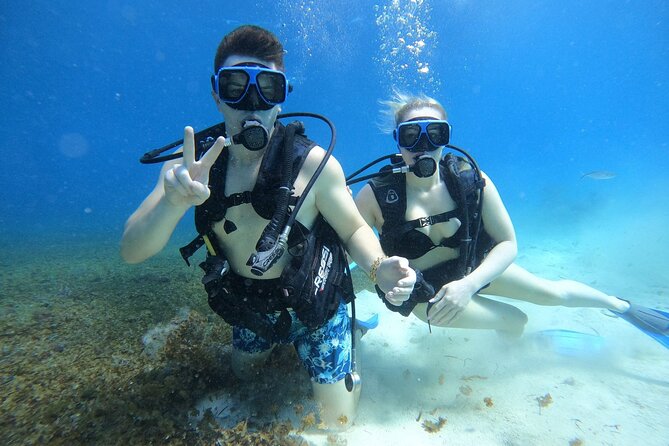 Cozumel Scuba Dive at Chankanaab - A practical plan for cruise passengers