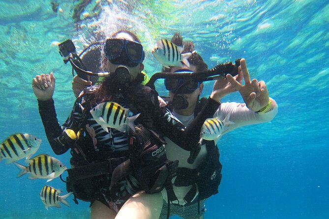 Cozumel Scuba Dive at Chankanaab - The park after your underwater session