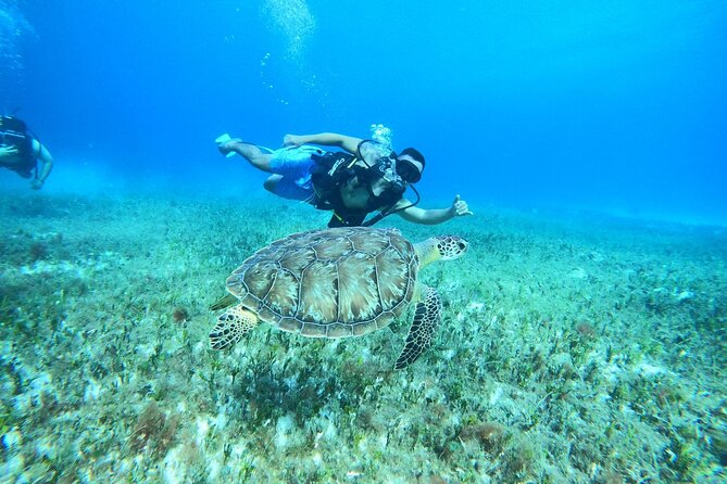 Cozumel Scuba Dive at Chankanaab - Who should book this experience?