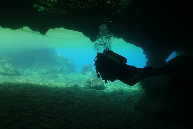 Cozumel Scuba Dive at Chankanaab - Booking, cancellation, and small practical details