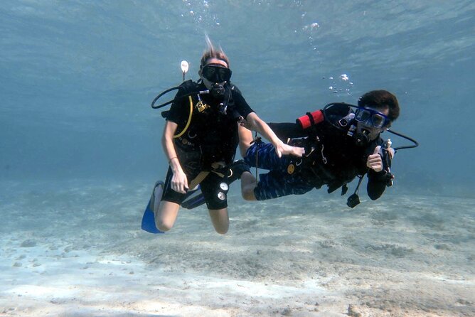 Cozumel underwater 2 Tank Dive by boat - Why Cozumel’s south reefs make a strong morning outing