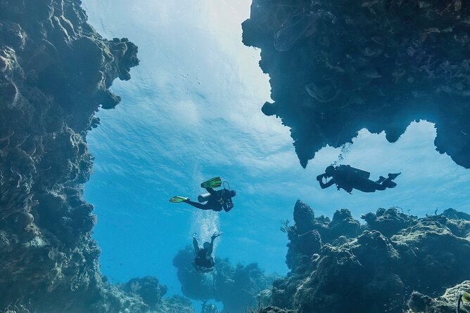 Cozumel underwater 2 Tank Dive by boat - Palancar and the coral-wall session
