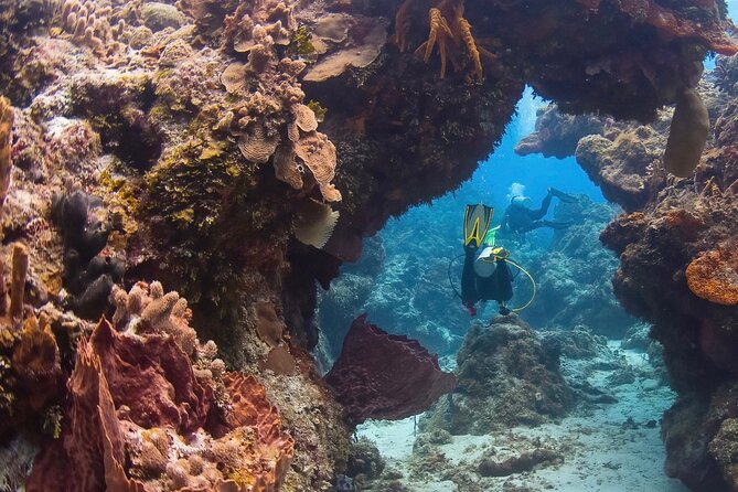 Cozumel underwater 2 Tank Dive by boat - From Caleta Harbor to the first reef