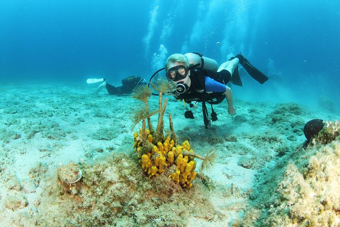 Crete-Chania: Snorkeling & Scuba Dive for Beginners by Boat - The briefing comes before the water