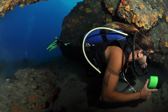 Crete Introductory Scuba Diving Experience - What the underwater setting is like for beginners