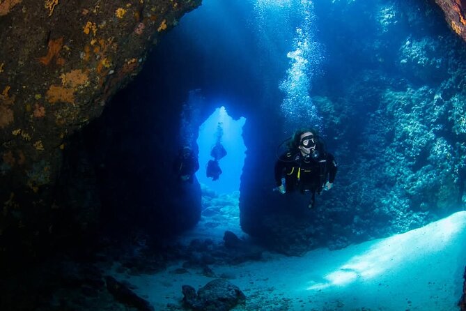 Crete: Scuba Diving for Certified Divers in Chania - Key points to know before booking