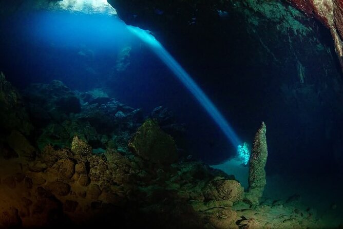 Crete: Scuba Diving for Certified Divers in Chania - What the five-hour morning looks like
