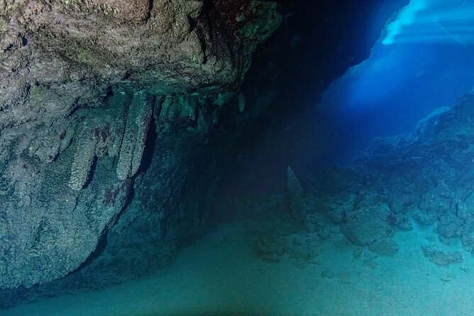 Crete: Scuba Diving for Certified Divers in Chania - Wrecks, walls, and marine life