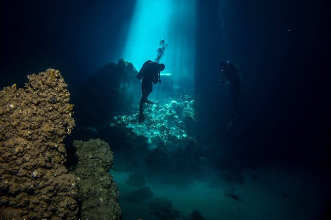 Crete: Scuba Diving for Certified Divers in Chania - Pickup details that can save you stress