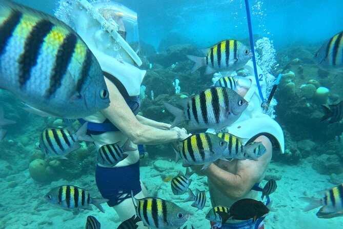 Curacao Helmet Diving-Walk the Ocean Floor, No Swimming Required - Is $150 a fair price?