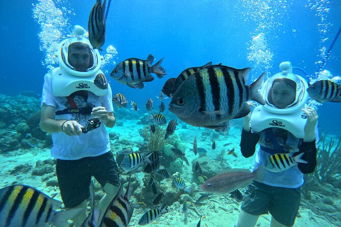 Curacao Helmet Diving-Walk the Ocean Floor, No Swimming Required - What the underwater walk actually feels like