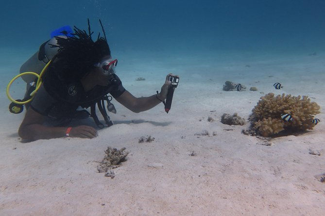 Daily 2 Dives with Equipment from Hurghada - What your Hurghada boat day looks like