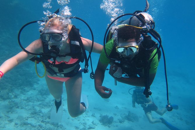 Daily 2 Dives with Equipment from Hurghada - Who will get the most from this trip?