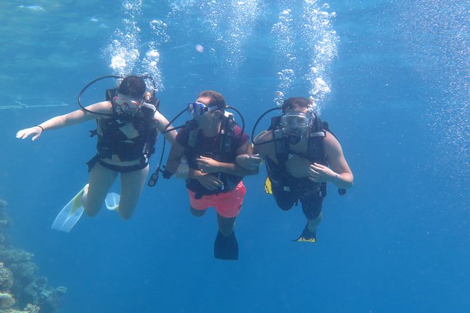Daily 2 Dives with Equipment from Hurghada - Is the $30 price good value?