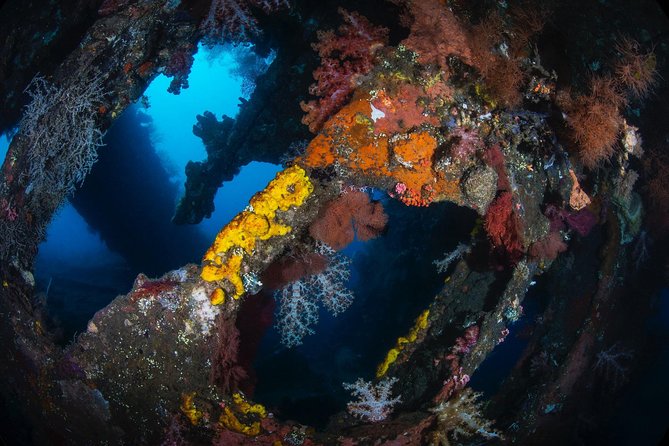 Day Trip certified divers - 3 Dives in Tulamben (pick-up & drop-off included) - The first underwater session: the USS Liberty