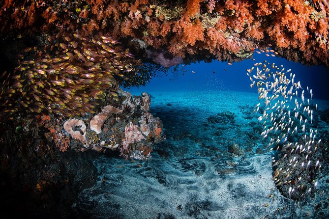 Day Trip certified divers - 3 Dives in Tulamben (pick-up & drop-off included) - Lunch, hot drinks, and the gap between sessions