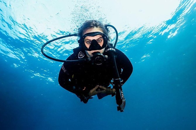 Day Trip certified divers - 3 Dives in Tulamben (pick-up & drop-off included) - Is $149.80 a fair price?