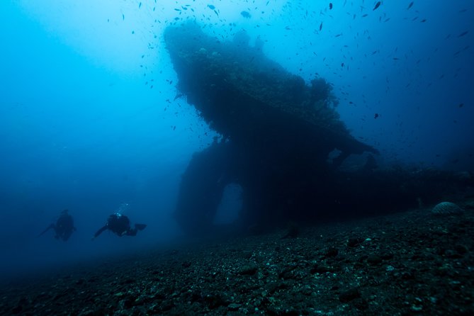 Day Trip certified divers - 3 Dives in Tulamben (pick-up & drop-off included) - What the 7am pickup really means