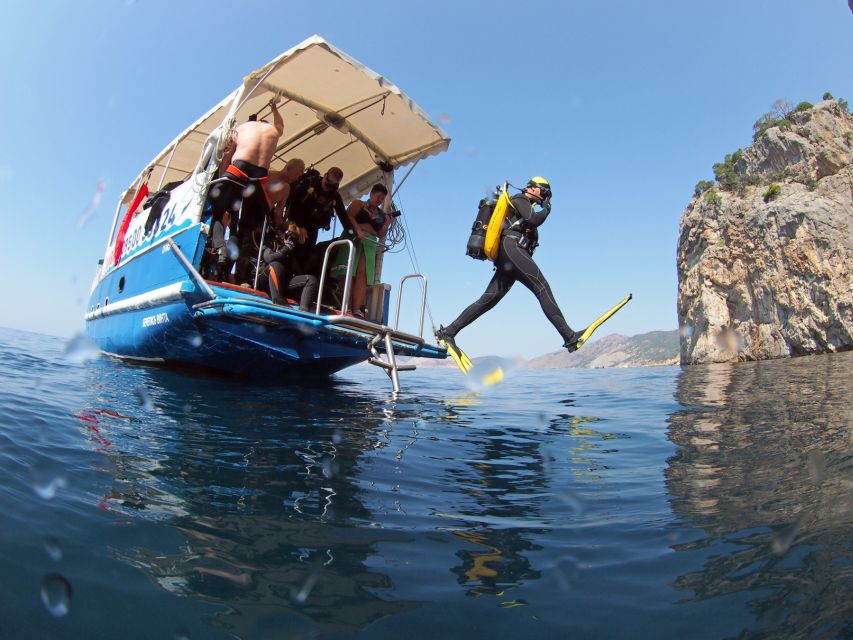 Didim: Scuba Diving Experience w/Hotel Pickup & Lunch - What the Didim scuba outing really offers
