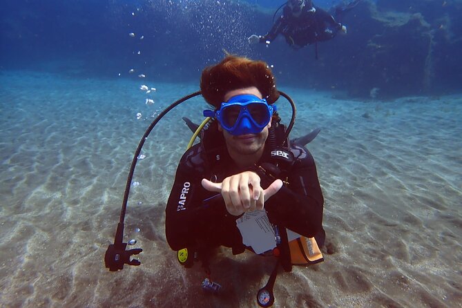 Discover beginner diving in Tenerife - What happens during the 2.5-hour session