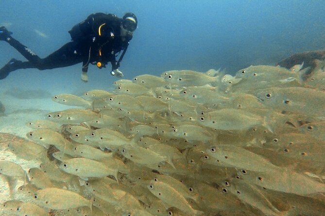 Discover beginner diving in Tenerife - Pedro and the value of calm instruction